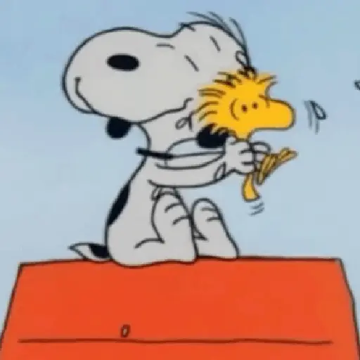 🦴🏠 SNOOPY 12 🏠🦴