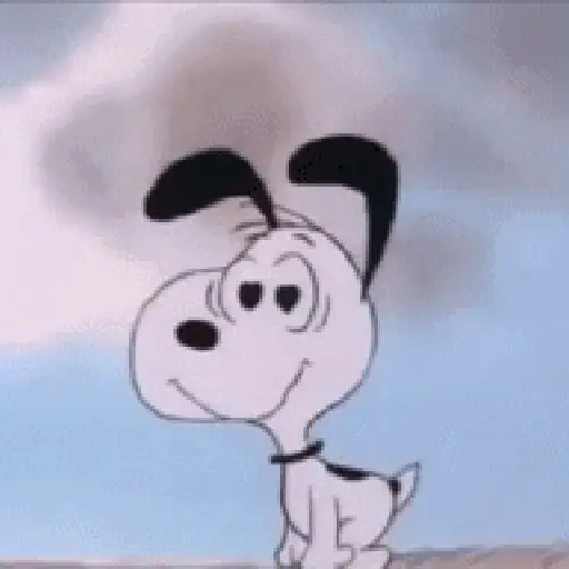 🦴🏠 SNOOPY 12 🏠🦴