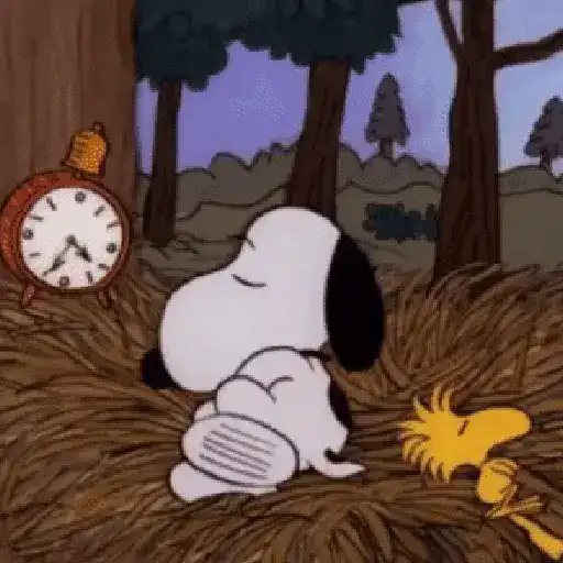🦴🏠 SNOOPY 12 🏠🦴