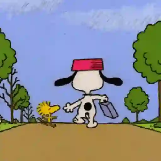 🦴🏠 SNOOPY 12 🏠🦴