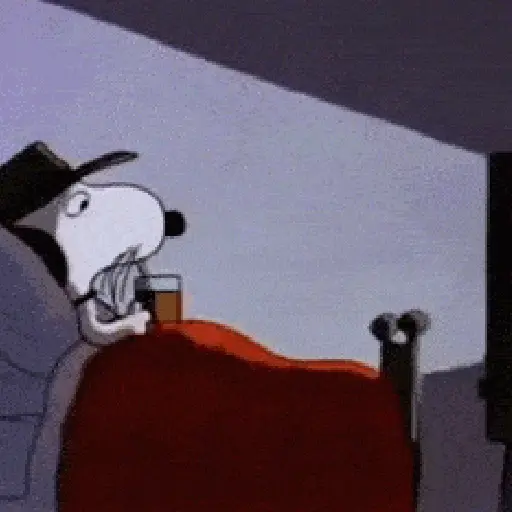 🦴🏠 SNOOPY 12 🏠🦴