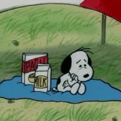 🦴🏠 SNOOPY 12 🏠🦴