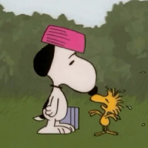 🦴🏠 SNOOPY 12 🏠🦴