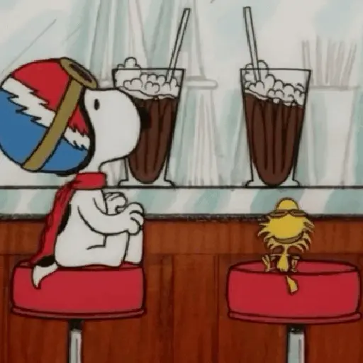 🦴🏠 SNOOPY 12 🏠🦴