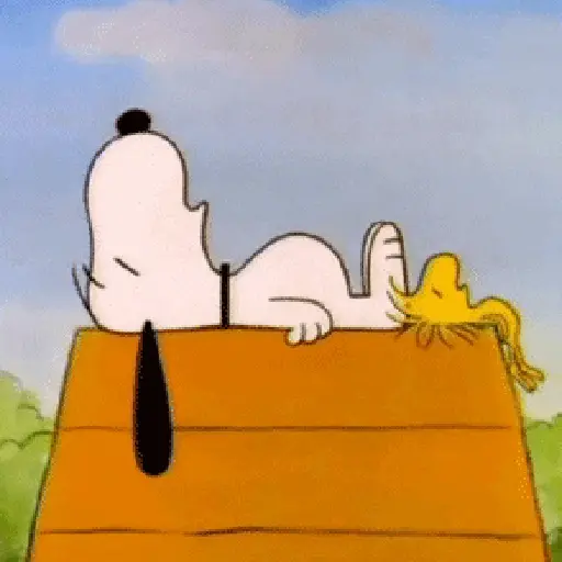 🦴🏠 SNOOPY 12 🏠🦴