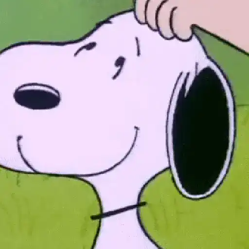 🦴🏠 SNOOPY 12 🏠🦴