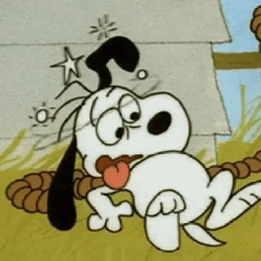 🦴🏠 SNOOPY 12 🏠🦴
