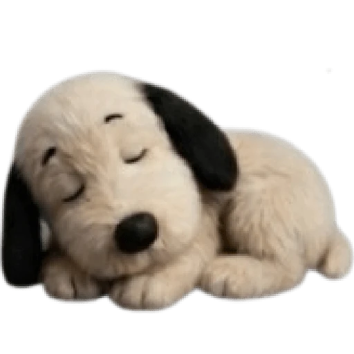 Snoopy teddy 🦴🏠