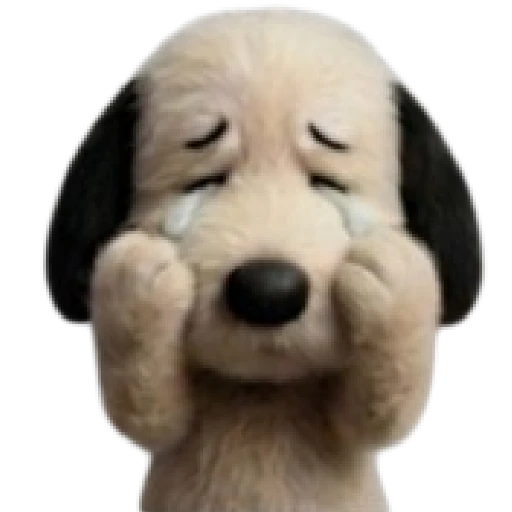 Snoopy teddy 🦴🏠