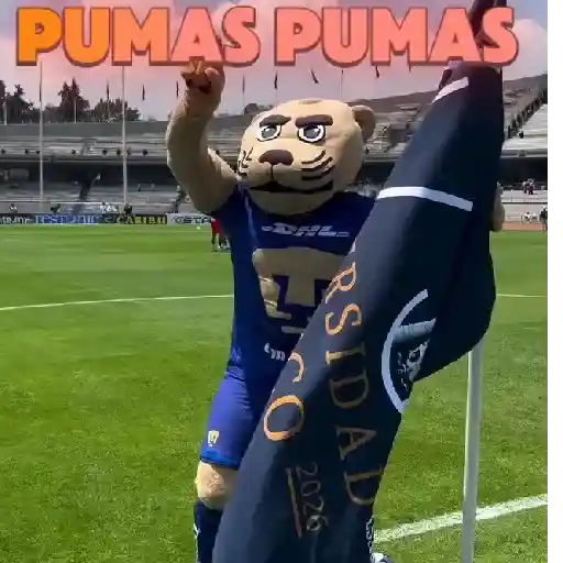 pumas⚽️