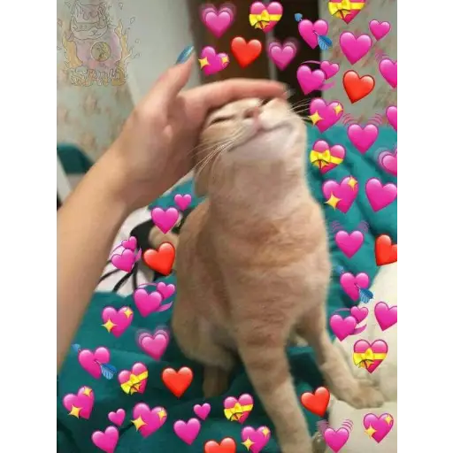 UwU 