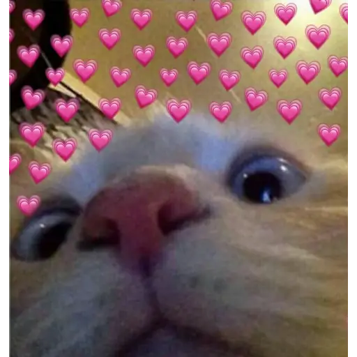 UwU 