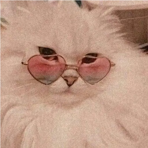 UwU 