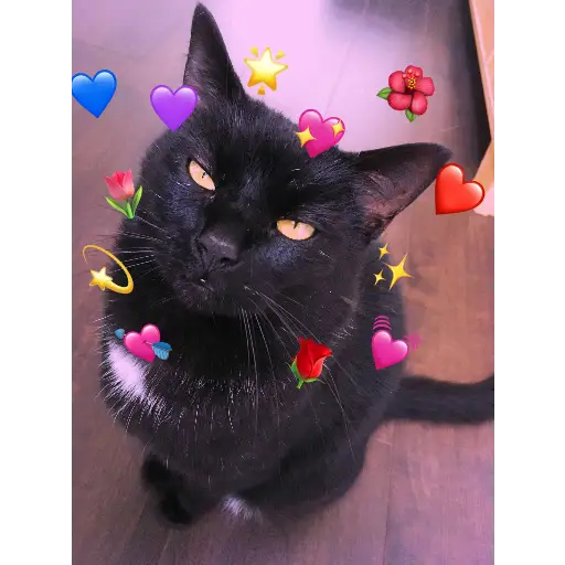 UwU 