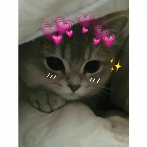 UwU  preview