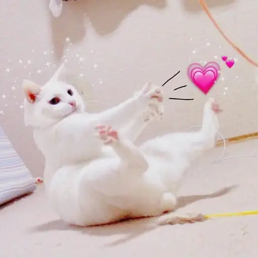 UwU  preview