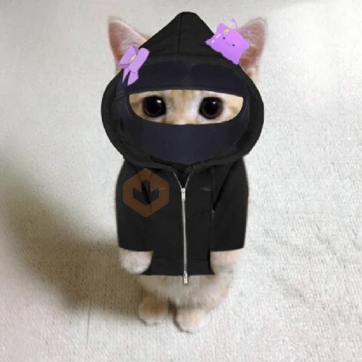 🐈🐈🐈 sticker 17