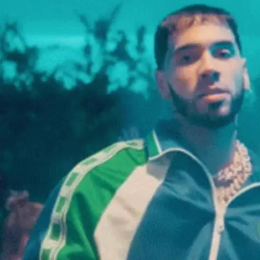 Anuel 🎙️✨🇵🇷🎶