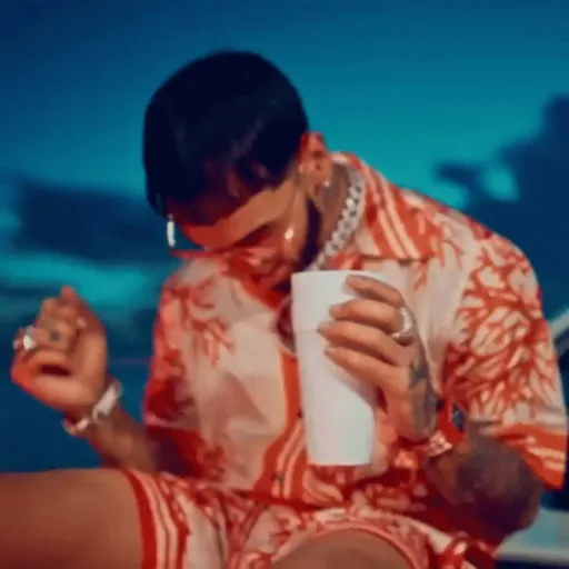 Anuel 🎙️✨🇵🇷🎶
