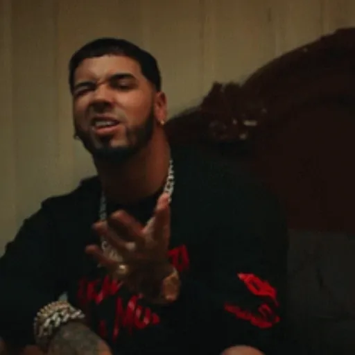 Anuel 🎙️✨🇵🇷🎶 preview