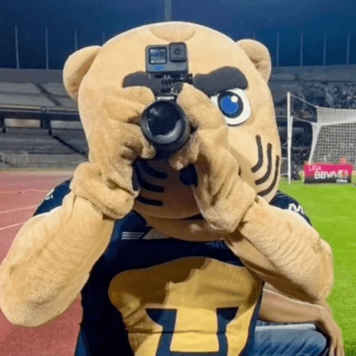 Pumas ✨⚽️💙🤎