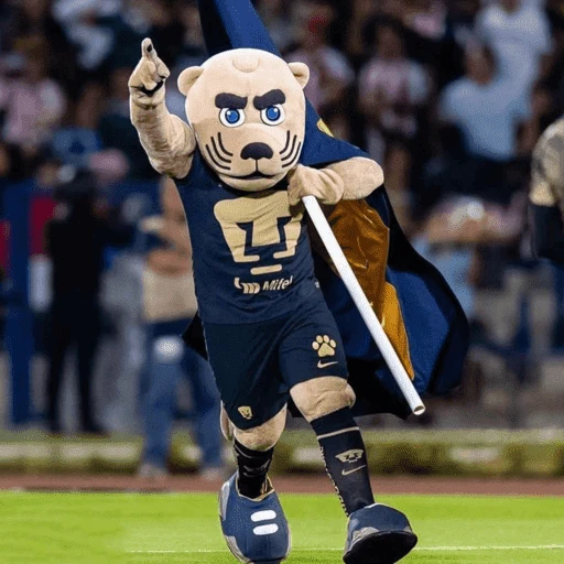 Pumas ✨⚽️💙🤎