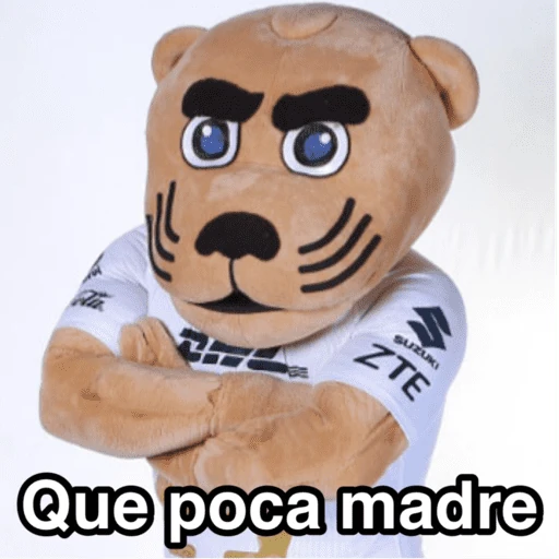Pumas ✨⚽️💙🤎