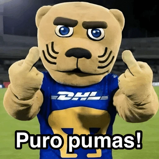 Pumas ✨⚽️💙🤎