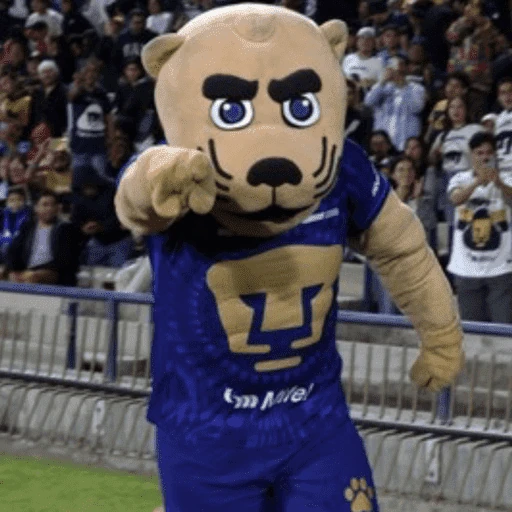 Pumas ✨⚽️💙🤎