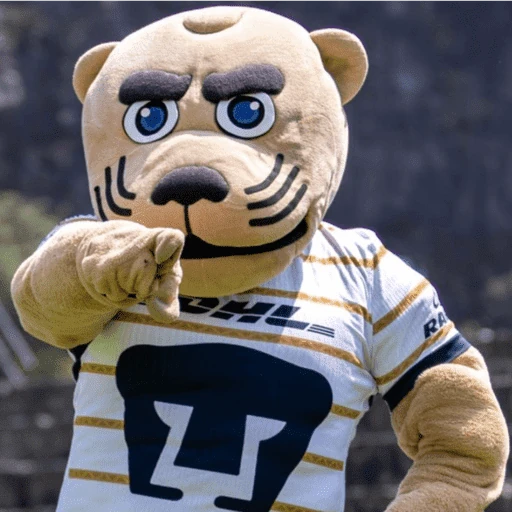 Pumas ✨⚽️💙🤎