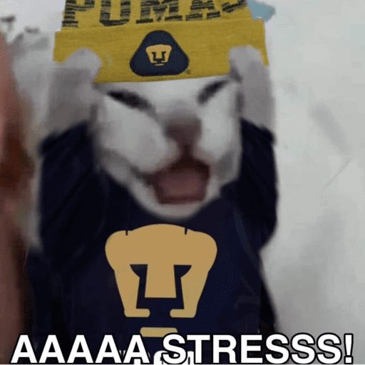 Pumas ✨⚽️💙🤎 preview