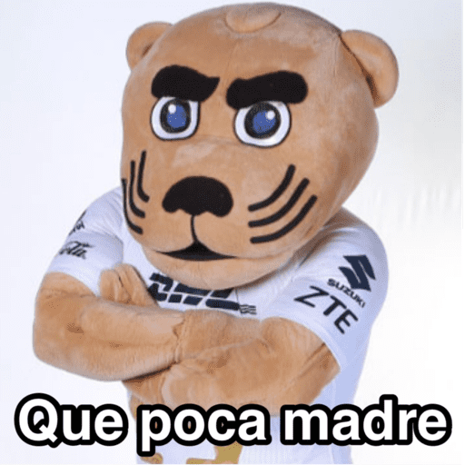 Pumas ✨⚽️💙🤎 preview