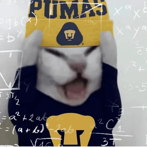 Pumas ✨⚽️💙🤎