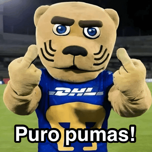 Pumas ✨⚽️💙🤎 preview