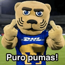 Pumas ✨⚽️💙🤎
