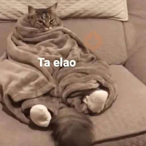 Qué frío 🥶❄️ taelao sticker 16