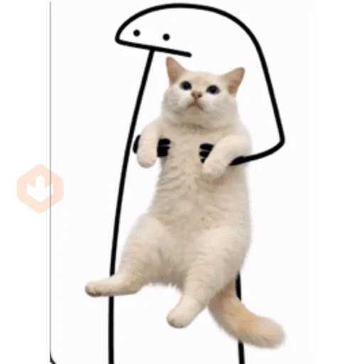 Gatos sticker 11