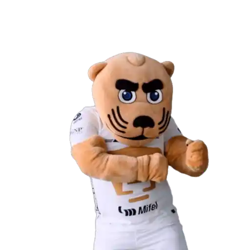 Yarol Pumas