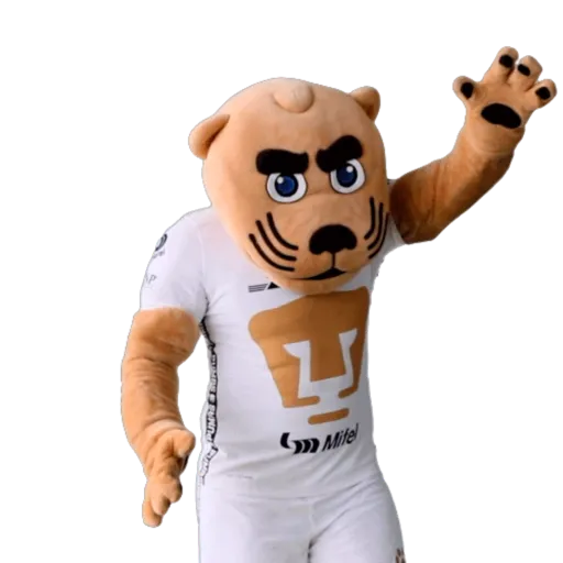 Yarol Pumas