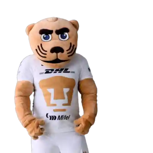 Yarol Pumas