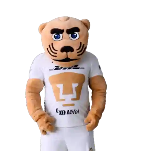 Yarol Pumas