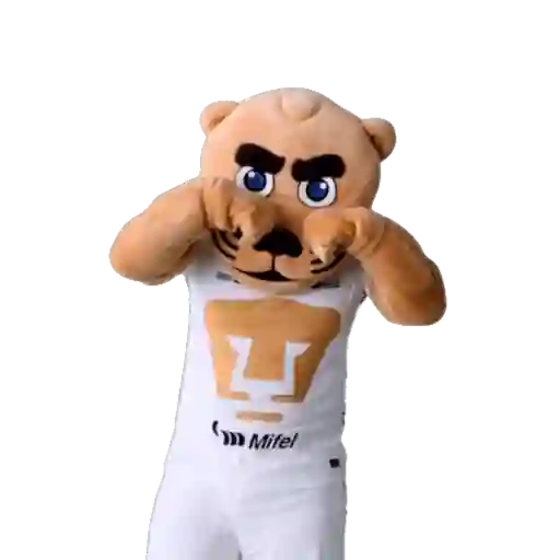 Yarol Pumas