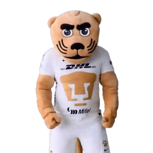 Yarol Pumas