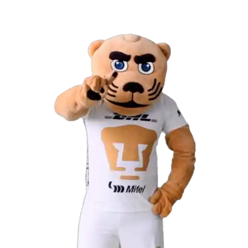 Yarol Pumas