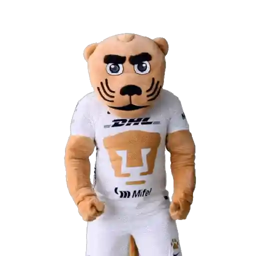 Pumas preview