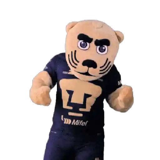 Pumas preview