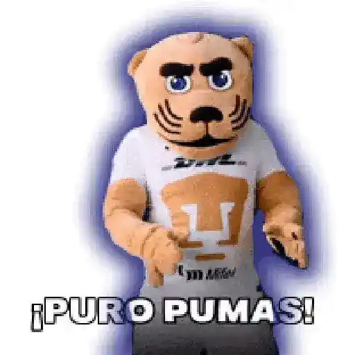 Pumas