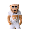 Pumas