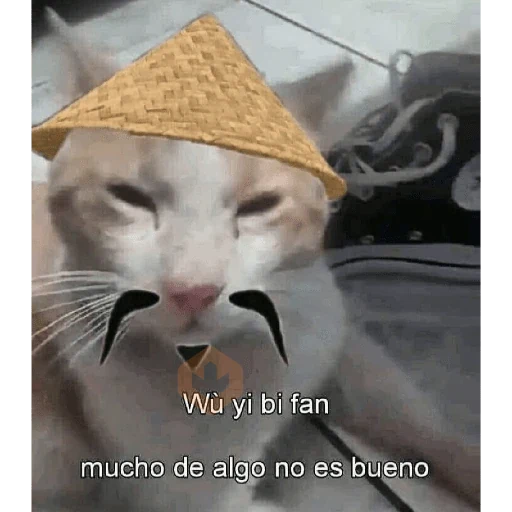 joder, me revelo?