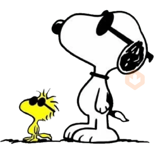🐕 SnOoPy reactions 2️⃣📲💬